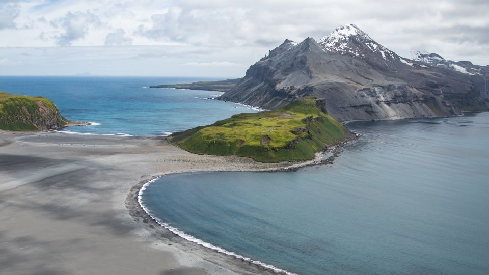 Thousands of baby seals died on two remote sub-Antarctic islands. Scientists now think they know why