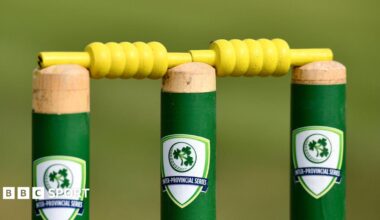 A detail view of the bails and stumps