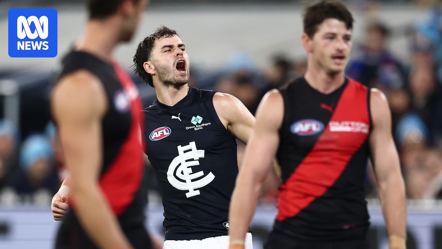 AFL Rd 13 live updates: Sydney vs St Kilda at SCG, Essendon vs Carlton at MCG - blog, scores, stats