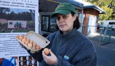 The eye-watering egg prices predicted for WA as H5 spreads - The West Australian