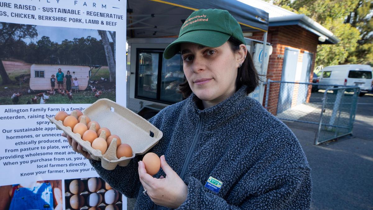 The eye-watering egg prices predicted for WA as H5 spreads - The West Australian