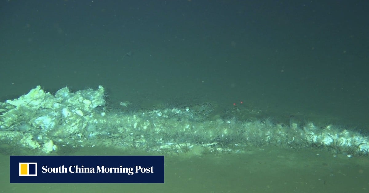 For 5 million years, whales have come to this place in the Indian Ocean to die