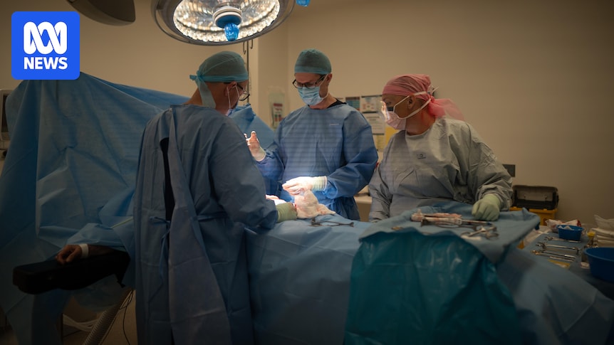 Funding in NSW budget for 'world-class' robotic surgery in Orange