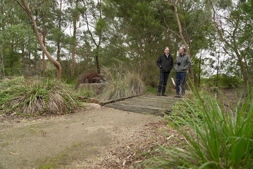Two men walk in bushland near Frankston.