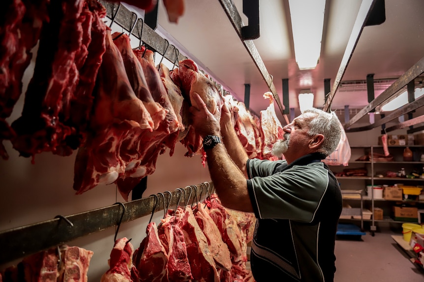 A man stands facing a rack with two bars there are large pieces of animal carcass hanging from hooks on each bar.