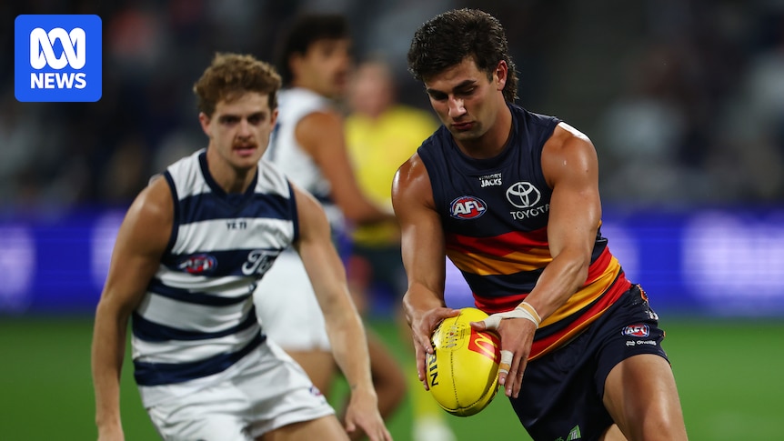 AFL Round 13 live updates: Adelaide vs Geelong — blog, scores and stats