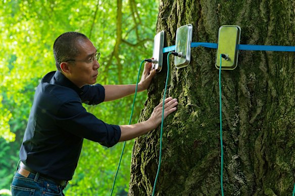 Tony Leung playing a neuroscientist in new film Silent Friend, his second-ever English-language movie outside Asia after Shang-Chi.