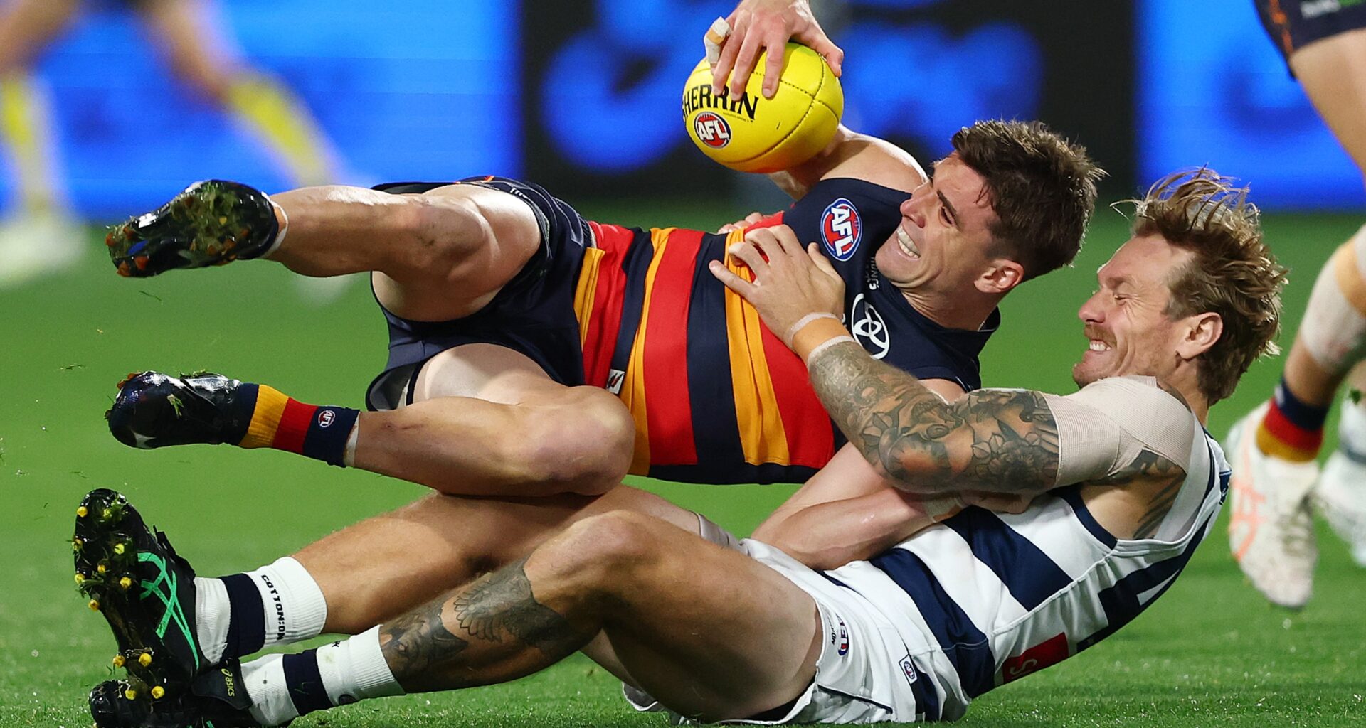 'Thorn in a few sides': Star Cat looms large in Crows' planning