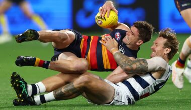 'Thorn in a few sides': Star Cat looms large in Crows' planning