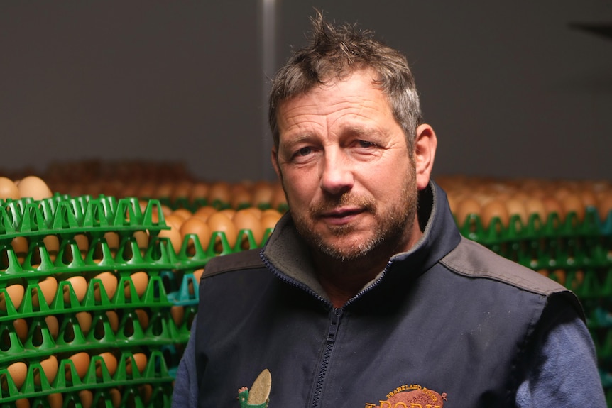 Close-up of a man standing in front of stacked green crates of eggs.