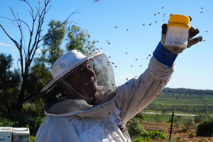 a man in beekeeping outfit stares at testing tube