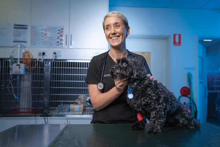 A vet and a dog