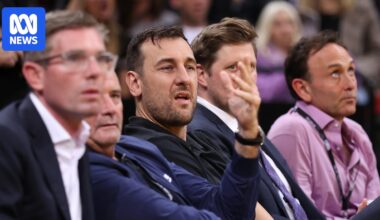 Andrew Bogut fined $9,500 for alleged body-shaming of Adelaide 36ers owner Grant Kelley