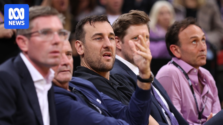Andrew Bogut fined $9,500 for alleged body-shaming of Adelaide 36ers owner Grant Kelley