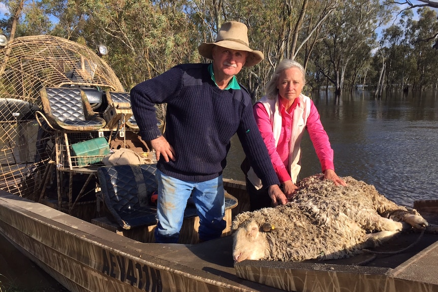 Two people on a hoverboat with a rescued sheep