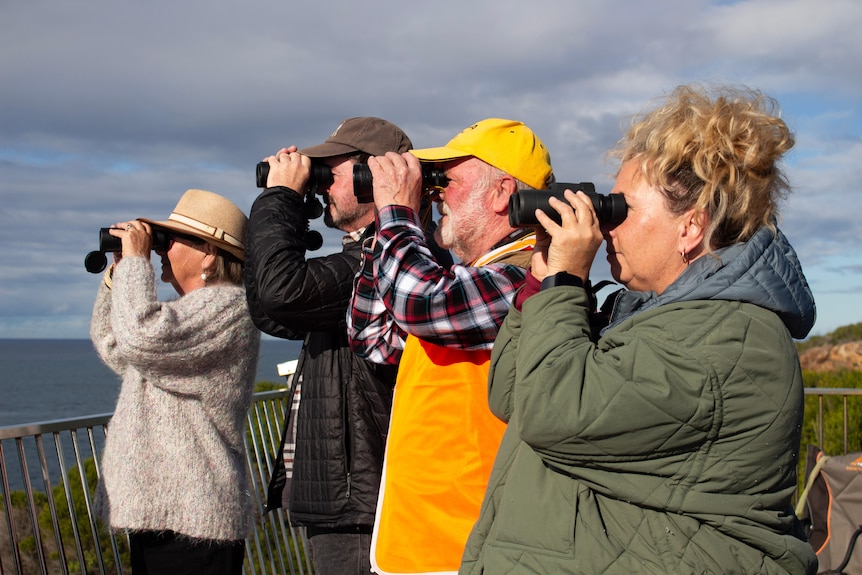 a group of people holding binoculars