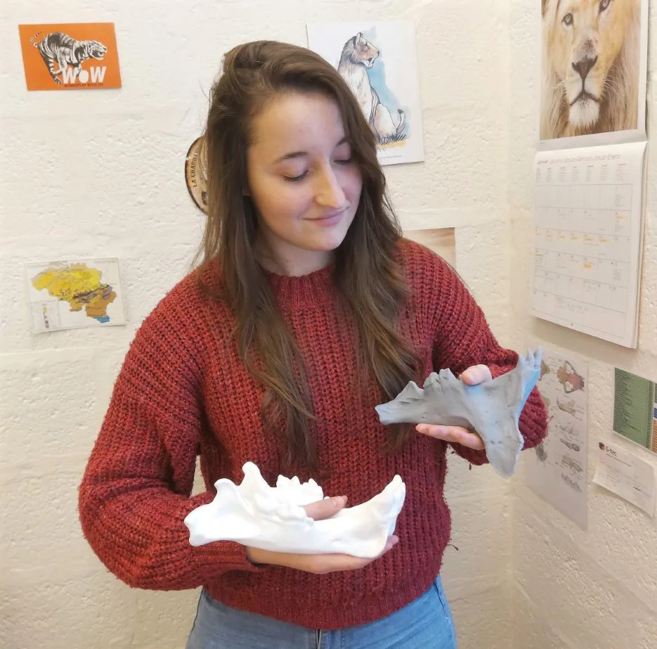 a woman in a red sweater holds two white 3D printed animal skulls