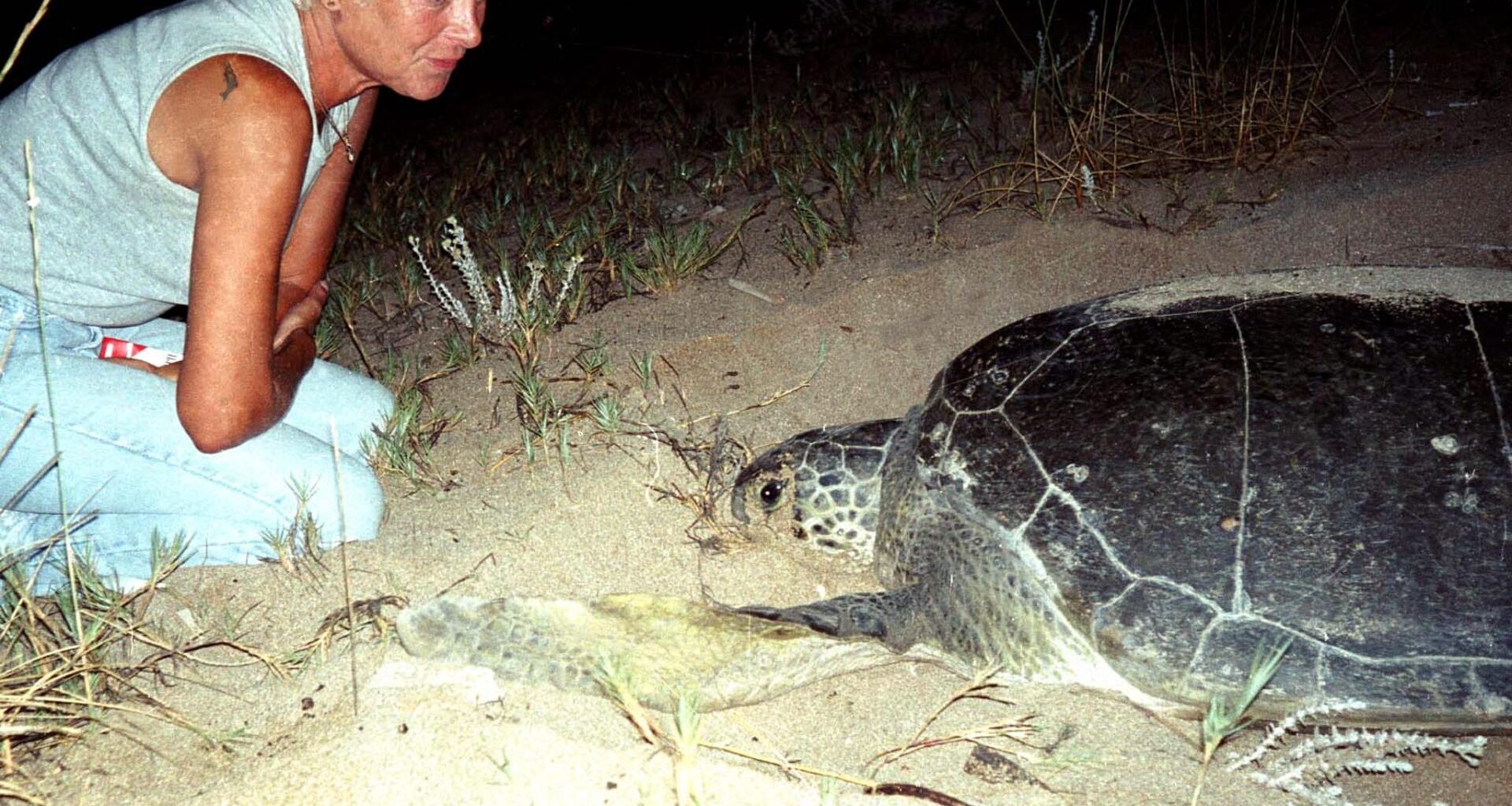 Renowned Lebanese turtle conservationist succumbs to wounds sustained in Israeli strike
