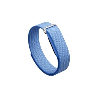 Google Fitbit Air 