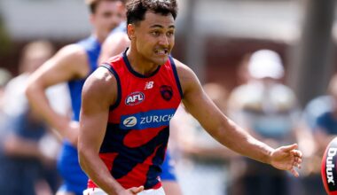 Heartbreak as young Demon suffers another ACL injury