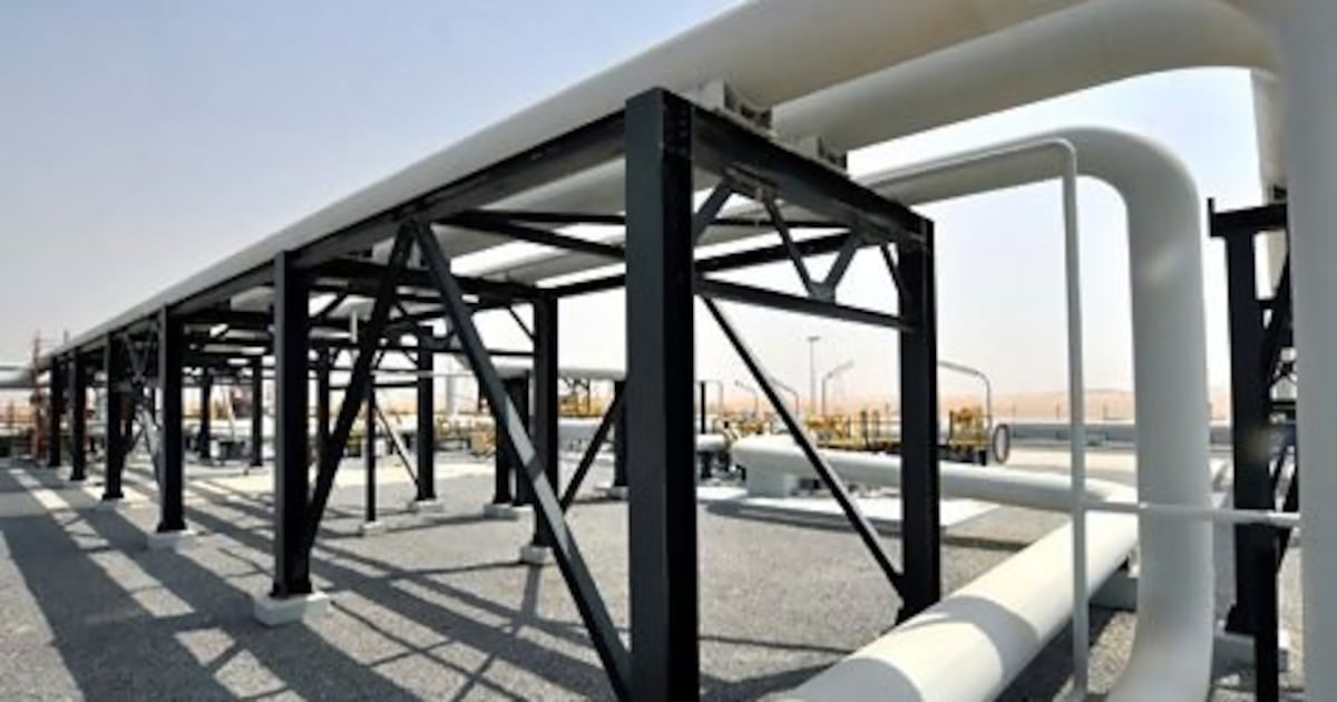 UAE retains high Moody's ratings and stable outlook on 'strong shock-absorption'