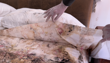 Ana María Devis: What the Body Leaves Behind
