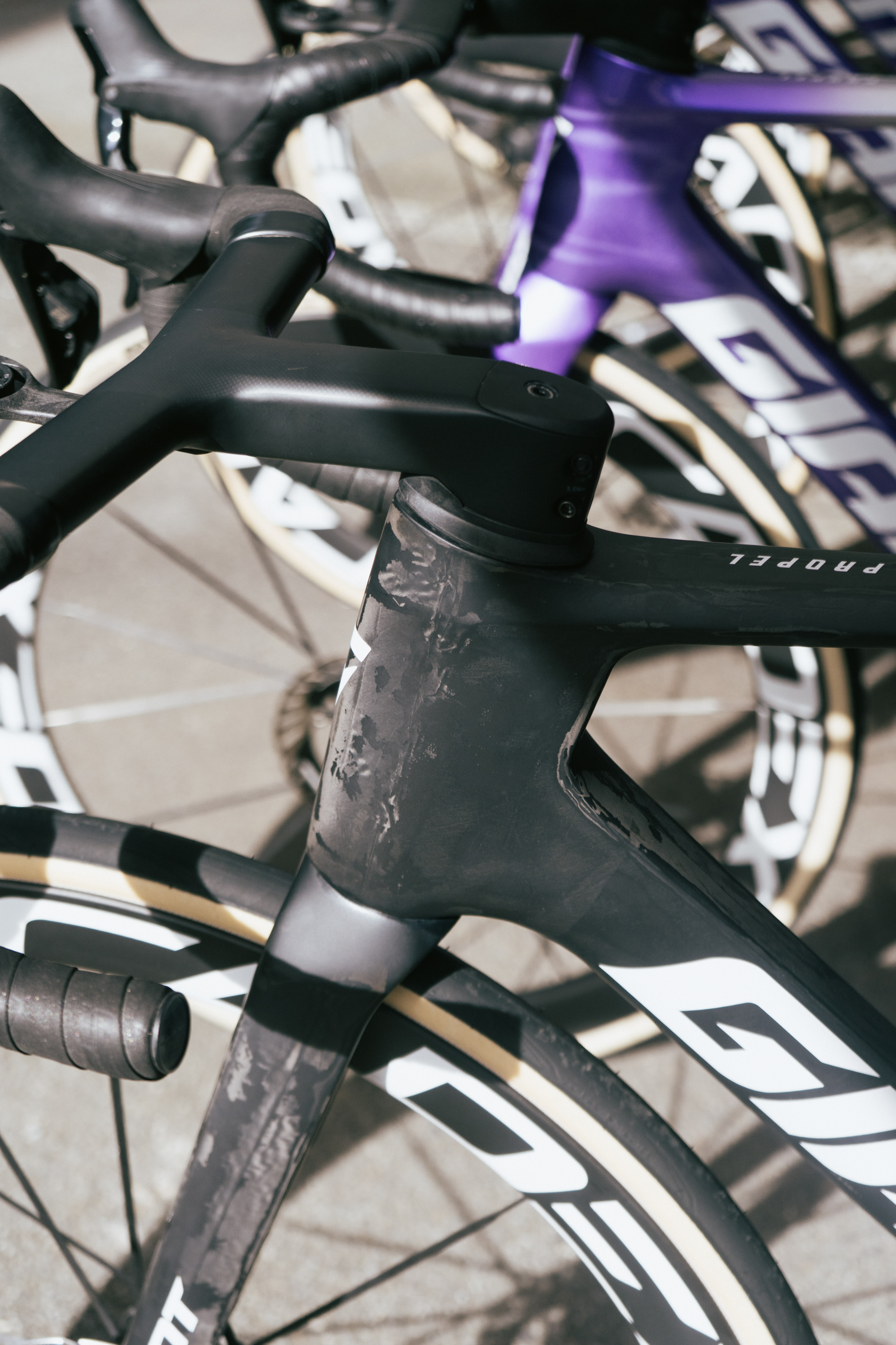 Black giant propel