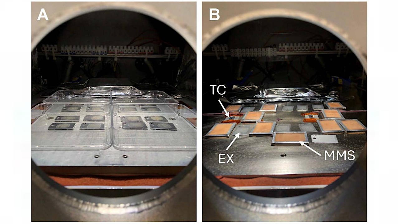 Biocidal Conditions in Low-Mars-Orbit Can Inactivate Bioburden on External Mars Spacecraft Surfaces and Dust Particles Within a Few Sols