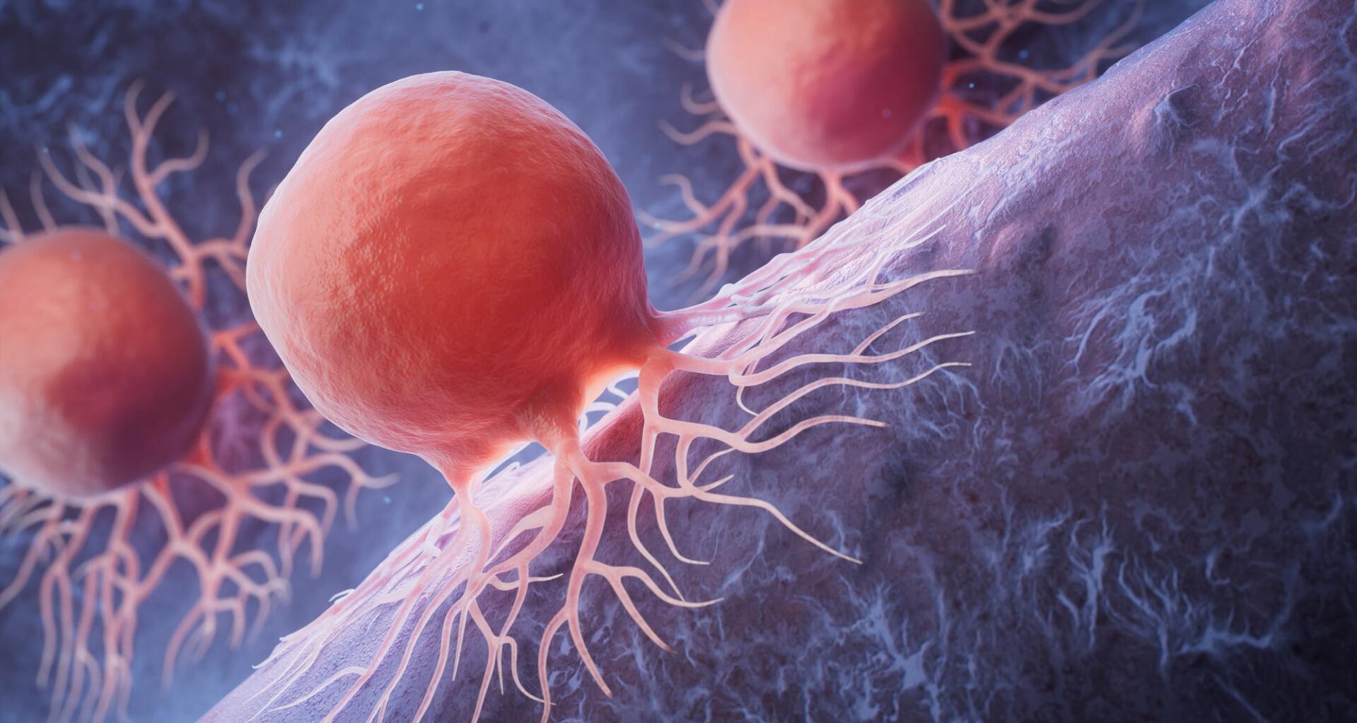 Biological Cancer Cells Rendering