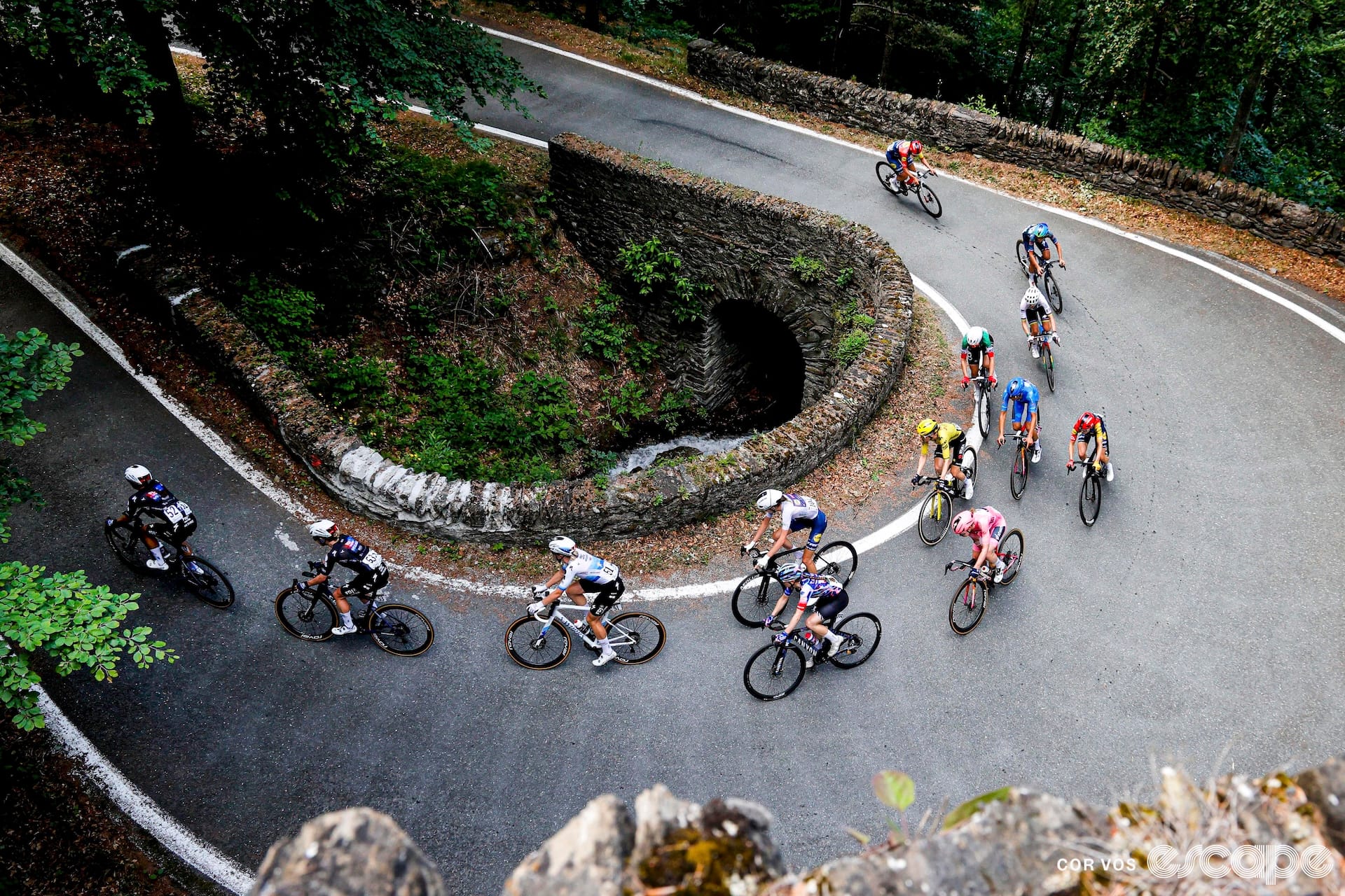 Wheel Talk Newsletter: The Giro hangover is real