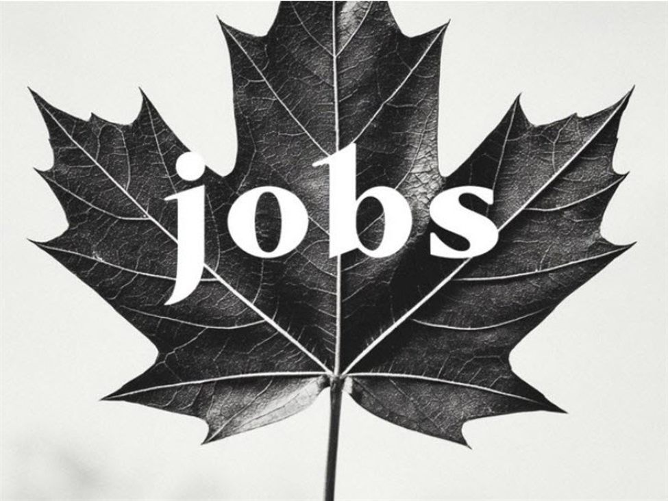 Canada employment change 87.8 K vs 10.0 estimate. The unemployment rate falls to 6.6%