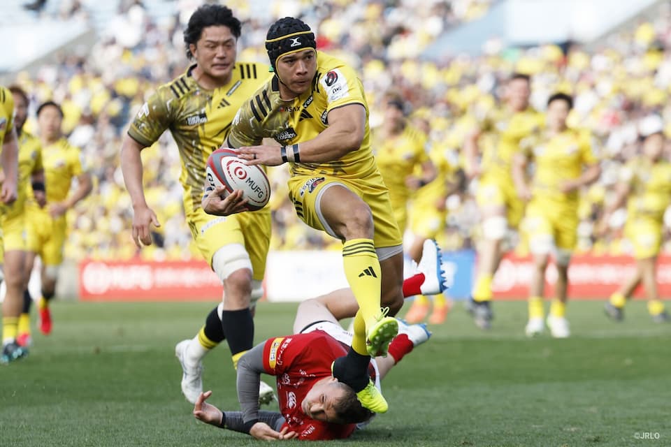 Springboks in the JRLO