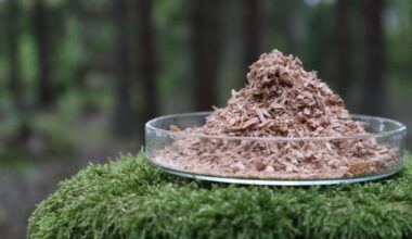 Commission steps up action on EU bioeconomy