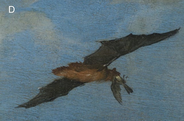 A 17th-Century Painting Has Revealed Surprising Bird Eating Habits From Bats