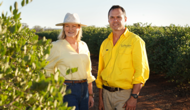 What retailers can learn from Australia's jojoba revival