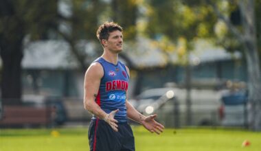 Kingy's conference | Mihocek update