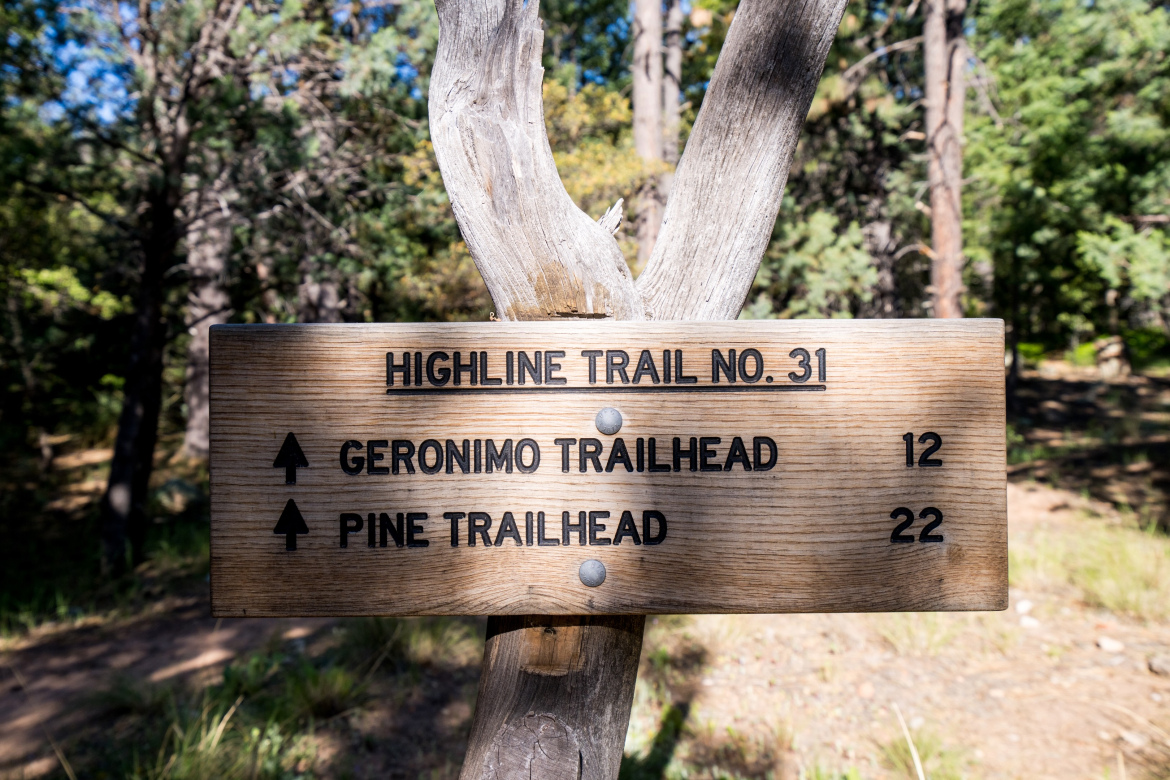 Wooden trail sign indicating directions and distances on Highline Trail No. 31, with arrows pointing to Geronimo Trailhead (12 miles) and Pine Trailhead (22 miles), surrounded by a forested area. Highline Trail: Geronimo's Call mountain bike trail.