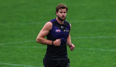 TEAM: Darcy confirmed as sole inclusion