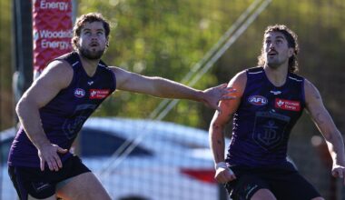 SQUAD: Sean Darcy returns to play Suns