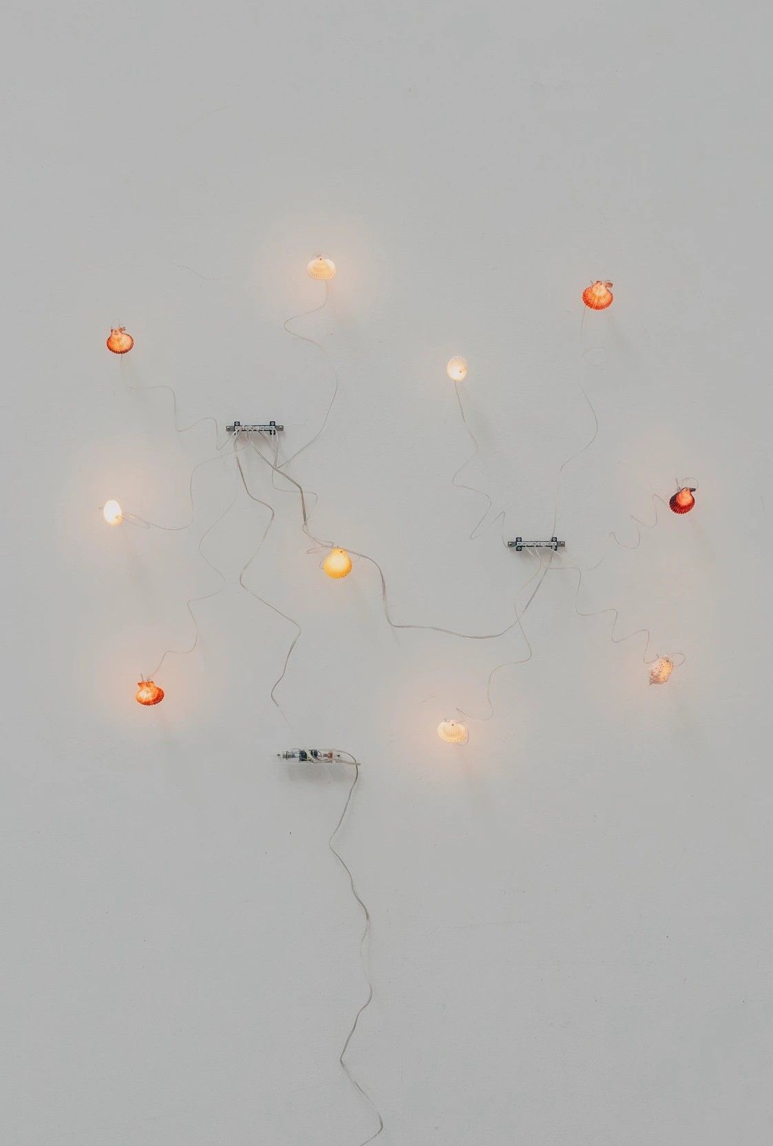 A light installation made of mother of pearl fragments connected on a white wall by silver wire.