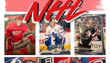 Surprising Success or Disappointing Letdowns: NHL 2025-26 Season Review