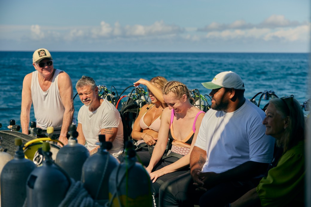 Update: Shark! / The Hundred with Andy Lee