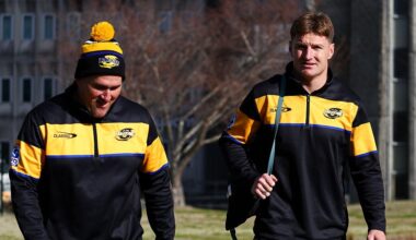 Harlequins turn to Super Rugby champions for latest appointment