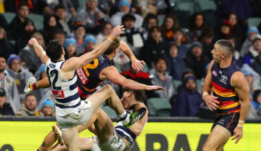 AFL Tribunal: Crows veteran learns fate for shove on young Cat