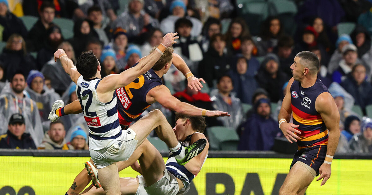 AFL Tribunal: Crows veteran learns fate for shove on young Cat