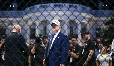 Trump’s MMA Extravaganza Was The Ultimate Symbol Of Our Dark American Moment