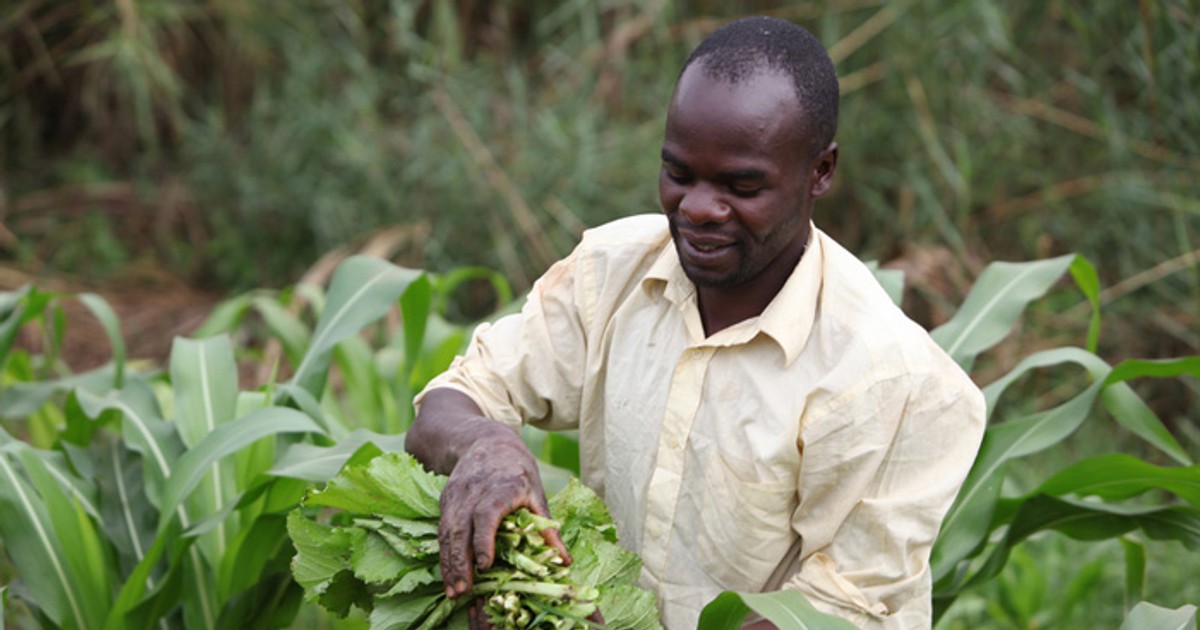 Zambia, US expand scope of $491 million agricultural grant to strengthen critical minerals supply chain