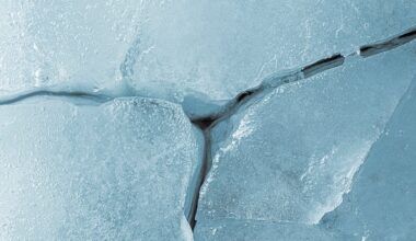 Hundreds of Mysterious Quakes Have Been Detected Deep Under Antarctica : ScienceAlert