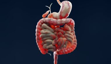 Scientists Solve a 30-Year Mystery Behind Inflammatory Bowel Disease : ScienceAlert