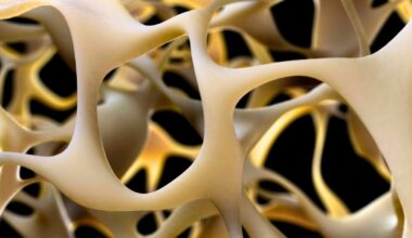 Breakthrough to Make Bones Stronger Could Reverse Osteoporosis : ScienceAlert